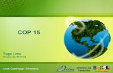 COP 15 - web.antaq.gov.brweb.antaq.gov.br/Portal/pdf/palestras/PalestraCOP15ANTAQDez2009.pdf · NAIAD(S - Programa de acão europeu integrado para o tranporte por vias navegáVeþs