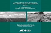 SITUAÇÃO E PERSPECTIVAS DA AGRICULTURA …repiica.iica.int/docs/B0759p/B0759p.pdf · Avanços na Agricultura Brasileira em 2008 e Medidas Públicas para vencer a Crise da Segurança