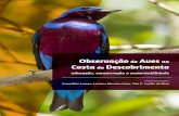 Observação Aves Costa Descobrimento - conservation.org · IV. Conservação Internacional do Brasil. CDD 598.2 Leandra Pereira de Oliveira – CRB7 5497. Lista das espécies de