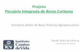Projeto Pecuária Integrada de Baixo Carbono · Pecuária Integrada de Baixo Carbono Iniciativa piloto de Boas Práticas Agropecuárias Vando Telles de Oliveira ... Slide 1 Author: