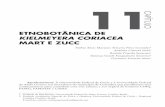 CAPÍTULO ETNOBOTÂNICA DE KIELMEYERA CORIACEA …pdf.blucher.com.br.s3-sa-east-1.amazonaws.com/openaccess/... · do ainda mais o desenvolvimento ocorrido em decorrência da estrada