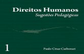 Direitos Humanos: sugestões pedagógicas - 1dhnet.org.br/dados/livros/edh/a_pdf/livro_carbonari_dh_sugestoes... · Este caderno quer ser um subsídio para a construção de práticas