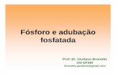 Aula 3-Fósforo e adubação fosfatadaw3.ufsm.br/solos/antigo/PDF/manejo e fertilidade... · 2008-05-13 · 9Fósforo no solo 9Avaliação da disponibilidade de fósforo 9Recomendação