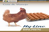 Guia de Manejo - hyline.com · Sistemas de Bebedouros ..... 6 Tratamento de Bico ... Consumo de Ração para Dúzia de Ovos (20–100 semanas) 1,42–1,46 kg 1,41–1,58 kg Cor da