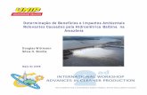 Determinação de Benefícios e Impactos Ambientais Rl t C d ... · estado do Amazonas, ... É apontada como problemática também no que diz respeito à emissão de ... e recursos