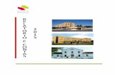 RC 2015 12SET16 para pdf - Centro Hospitalar de Leiria 2015_Completo.pdf · Alvaiázere e parte dos concelhos de Alcobaça, ... de exames/técnicas e de enfermagem/tratamento ...