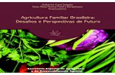 Agricultura Familiar Brasileira: Desafios e Perspectivas ... · AGRICULTURA FAMILIAR BRASILEIRA: DESAFIOS E PERSPECTIVAS DE FUTURO Secretaria Especial de Agricultura Familiar ...