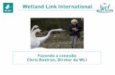 Wetland Link International - wli.wwt.org.ukwli.wwt.org.uk/wp-content/uploads/2012/06/What-Is-WLI-Portuguese.pdfCentre (antigamente conhecido como Shortland ... grupos de mulheres,