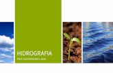 HIDROGRAFIA - angloguarulhos.com.brangloguarulhos.com.br/wp-content/uploads/2017/08/Hidrografia.pdf · HIDROGRAFIA PROF. LUIZ FERNANDO L ... Foz mista ou complexa Rio Amazonas . 10