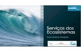 Serviços dos Ecossistemas - spea.pt · 2º Valoração dos SEM e opções de captura do seu ... hotelaria,..) • Empregos indiretos I • Erosão costeira e avanço do mar como