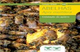141 ABELHAS - wp.ufpel.edu.brwp.ufpel.edu.br/apicultura/files/2010/05/Manejo-de-Abelhas.pdf · ações de capacitação são cartilhas como essa, que compõe a coleção SENAR. Trata-se