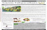 Patriotismo: Identificação com a Pátria · latos bíblicos sobre as atividades de Davi. Página 4 Um símbolo Nacional No Brasil, comemo-ra-se o dia da Ban- ... Para o advogado