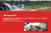 Angola Inquérito de Indicadores Múltiplos e de Saúde (IIMS ... · O Inquérito de Indicadores Múltiplos e de Saúde (IIMS 2015-2016) foi realizado pelo Instituto Nacional de .