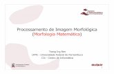 Processamento de Imagem Morfológica (Morfologia Matemática )tir/ComputacaoCientifica/7.Morfologia Matematica.pdf · – Dilatação e erosão em imagens em níveis de cinza são