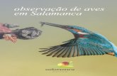 observação de aves em Salamanca · introdução D E V A L L A D O L I D Trabanca ieza Perea de la ibera ... e sempre sempre atentos à possibilidade de observar a arisca e fugidia