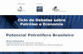 Potencial Petrolífero Brasileiro - ibp.org.br · Superintendente de Definição de Blocos Agência Nacional do Petróleo, Gás Natural e Biocombustíveis. 5 Calendário de Rodadas