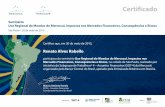 Renato Alves Rabello - Mercosul SGT-4sgt4.bcb.gov.br/es-es/Documents/Certificado/65Renato Alves Rabello.pdf · Certifico que, em 20 de maio de 2015, Renato Alves Rabello participou