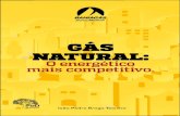 LIVRO - Gás Natural, o energético mais competitivo pod - B5 · A r decimentos À minha querida família, minha esposa Gabriela e nosso João Pedro Filho, pelo apoio em todos os