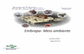 Embrapa- Meio ambiente - Unidade da Empresa Brasileira de ...webmail.cnpma.embrapa.br/eventos/2013/ceua/palestras/MetodosAlter... · preservados de rato para treinamento de anastomose