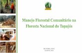 BELTERRA, PARÁ AGOSTO, 2016 - fao.org · O modelo de concessão florestal adotado na Floresta Nacional do Tapajós é o não-oneroso, direito concedido aos moradores tradicionais