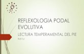 REFLEXOLOGIA PODAL EVOLUTIVA - Centro Personality … · REFLEXOLOGIA PODAL EVOLUTIVA es una técnica que nos ayudara a trabajar y prevenir diferentes síntomas y dolencias para conseguir