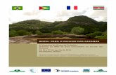 REDD+ PARA O ESCUDO DAS GUIANAS · sobre CMRV no Escudo das Guianas. ... do Escudo das Guianas. Os encontros do grupo de trabalho regional são um dos canais usados para reforçar