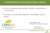 Como o Biodiesel pode ajudar o Brasil a reencontrar o … · Verifica-se nos últimos anos que, independentemente da explosão da importação de ... insensatez que beneficiaria a
