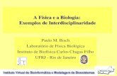 A Física e a Biologia: Exemplos de Interdisciplinaridadejoras/disciplinas/07.1/topicos/bisch.pdf · A Física e a Biologia: Exemplos de Interdisciplinaridade Paulo M. Bisch Laboratório