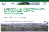 Estimativa e distribuição espacial da biomassa na Floresta ...wiki.dpi.inpe.br/lib/exe/fetch.php?media=ser301-2013:estimativa_e... · • O interpolador inverso do quadrado da distância