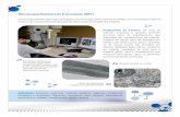 MicroscopiaEletrônicadeTransmissão(MET) - CETENE · Microscópio eletrônico de transmissão FEI de 200kV, modelo Tecnai20, emissor LAB6 ou W, módulo EDAX, tomografia Xplore3D,