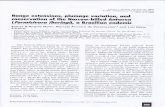 lfsilveira/pdf/a_2001_iheringi.pdf · Departamento de Biologia Geral, Universidade Estadual de Montes Claros, Av. Rui Braga, s/n0, 39401 -089, Montes Claros, Minas Gerais, Brazil