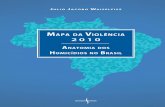 Mapa da Violência 2010 · Mapa da Violência 2010: anatoMia dos HoMicídios no brasil 5 Violência, educação, cidadania d iversos fatores podem afetar negativamente o desempenho