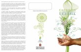 arbo 20091 web · “Pensar globalmente, agir localmente e transformar-se interiormente” A Secretaria Municipal do Verde e do Meio Ambiente publica a Cartilha de Arborização ...