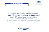 Diagnóstico Preliminar da Agricultura Familiar na ...ainfo.cnptia.embrapa.br/digital/bitstream/item/61073/1/CPATU-Doc... · agricultura familiar na Transamazônica: indicações