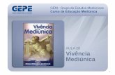 AULA 28 Vivência Mediúnica - Portal do Gepe – Grupo ...gepe.org.br/downloads/GEM/MODULO_2_03_ED_22AULAS_v02/GEM_Aula_28... · AULA 28 Vivência Mediúnica. 2 7. ... por emperrar