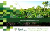 Relatório de balanço 2013-2015 - mda.gov.br · antecederam a elaboração da Lei nº 10.831/2003 (que dispõe sobre a agricultura orgânica), e aprofundado entre os anos de 2011