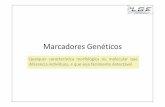 Marcadores Genéticos - LGE - Laboratório de Genômica e ...lge.ibi.unicamp.br/lgeextensao2008/extsup/snps.pdf · Análise filogenética. Homozigoto C/C Heterozigoto ... • Geração