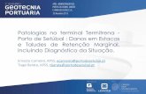 Patologias no terminal Termitrena - Porto de Setúbal ... · Foto 9 – Grua de 100 Ton Foto 8 ... Estacas e Taludes de Retenção Marginal, incluindo Diagnóstico da Situação.