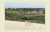 Diagnóstico de Impacto sobre o Patrimônio Histórico e ... MPX PARACURU I... · Área de Influência Direta ... está inserido no litoral do Ceará, com clima do tipo tropical quente,