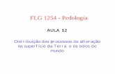 FLG 1254 - Pedologia aula 12 - aegirnuvem.fflch.usp.br · FLG 1254 - Pedologia AULA 12 Distribuição dos processos de alteração na superfície da Terra e os solos do mundo ...