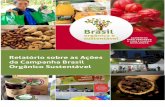 Relatório sobre as Ações da Campanha Brasil Orgânico ... · 3 Coordenação Geral da Campanha Brasil Orgânico e Sustentável Arnoldo Anacleto de Campos Assessoria Técnica Laura