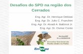 Desafios do SPD na região dos Cerrados - febrapdp.org.br · - Aumento dos danos de doenças radiculares Nematoides, Macrophomina, Fitóftora, Fusarium, Rhizoctonia, Sclerotinia -