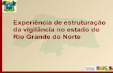 Experiência de estruturação da vigilância no estado do Rio ...svs.aids.gov.br/download/Apresentacao_RN_na_10_EXPOEP_VIG_DE... · Implantando rotinas e instrumentos de controle