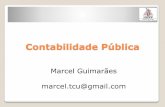 Contabilidade Pública - igepp.com.br · Prof. Marcel Guimarães Novo Conceito NBCT 16.1 (site CFC) Contabilidade Pública é o ramo da Ciência Contábil que aplica, no processo