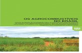 Os AgrOcOmbustíveis nO brAsil · também se deslocou até o Piauí, ao município de Canto do Buriti, para conhecer o projeto de produção de biodiesel, na fazenda Santa Clara,