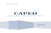 CAPED - adbelem.orgadbelem.org/manager/uploads/arquivo/capedbasico2018.pdf · Uma porcentagem muito pequena de livros sobrevive além de um quarto de século, e uma ... e significa