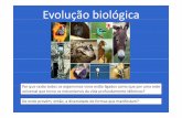 Evolução biológica PARTE I - ceiciencia.files.wordpress.com · Modelo autogénicoModelo autogénico Modelo endossimbióticoModelo endossimbiótico Actividade 1 da pág. 113 do