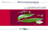 Documentos 211 - infoteca.cnptia.embrapa.br · especialmente para o agricultor familiar, pela possibilidade de produção de frutos diferenciados, uma vez que o mercado consumidor