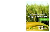 Informações Técnicas para Trigo e Triticale - iapar.br pequeno/trigotriticalelivro2014.pdf · Milton Dalbosco – Fundação ... Paulo Roberto Valle da Silva Pereira ... Paulo