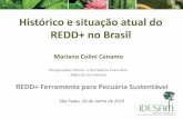Histórico e situação atual do REDD+ no Brasil · Potencial de REs na Amazônia brasileira (2006-2020) ... Slide 1 Author: Ann Bravdica Created Date: 7/20/2015 4:00:53 PM ...
